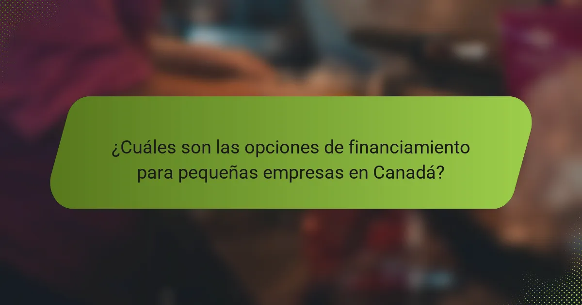¿Cuáles son las opciones de financiamiento para pequeñas empresas en Canadá?