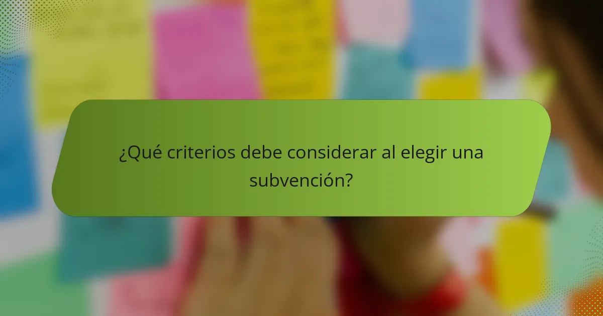 ¿Qué criterios debe considerar al elegir una subvención?