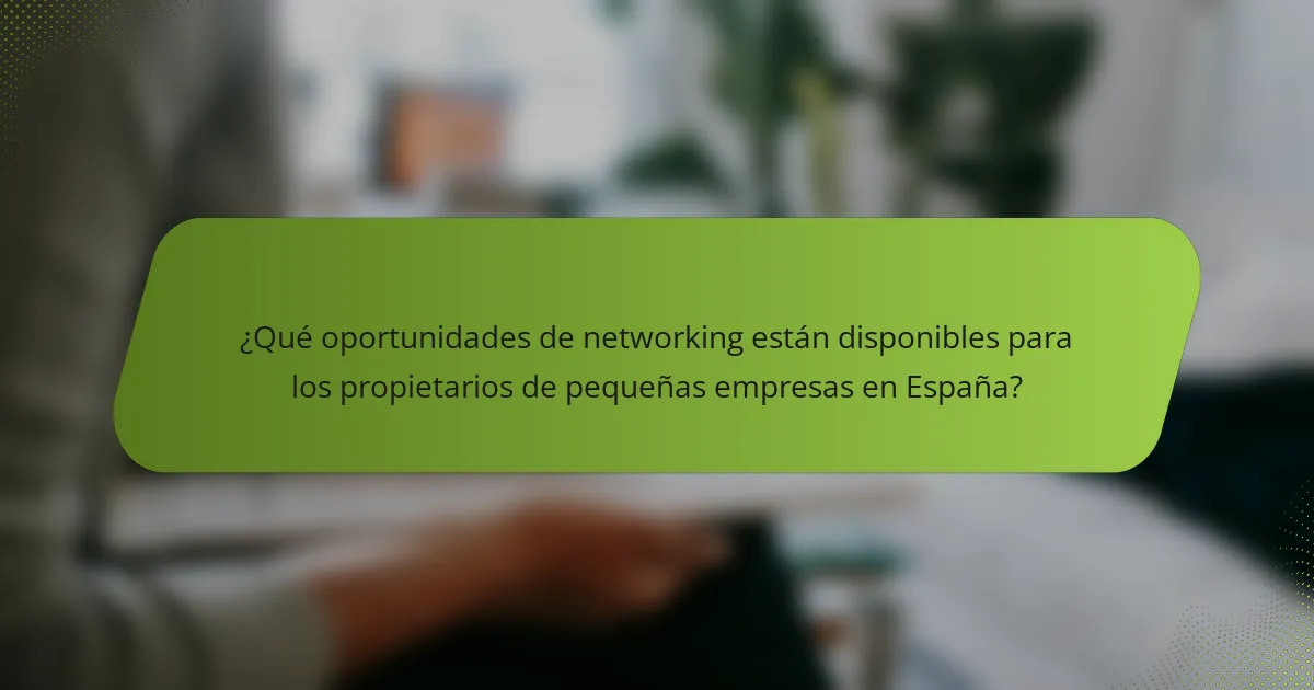 ¿Qué oportunidades de networking están disponibles para los propietarios de pequeñas empresas en España?