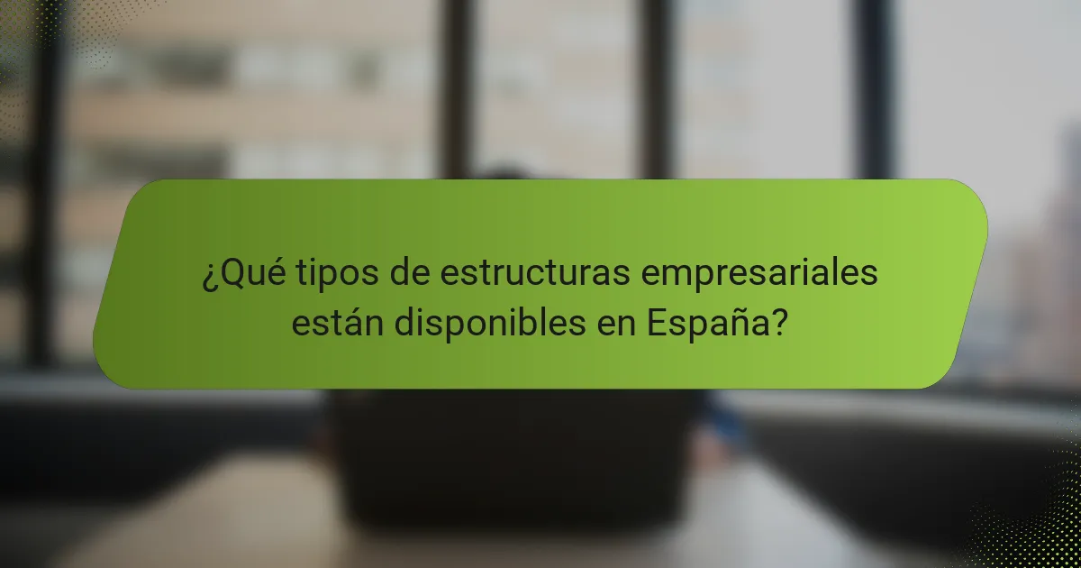 ¿Qué tipos de estructuras empresariales están disponibles en España?
